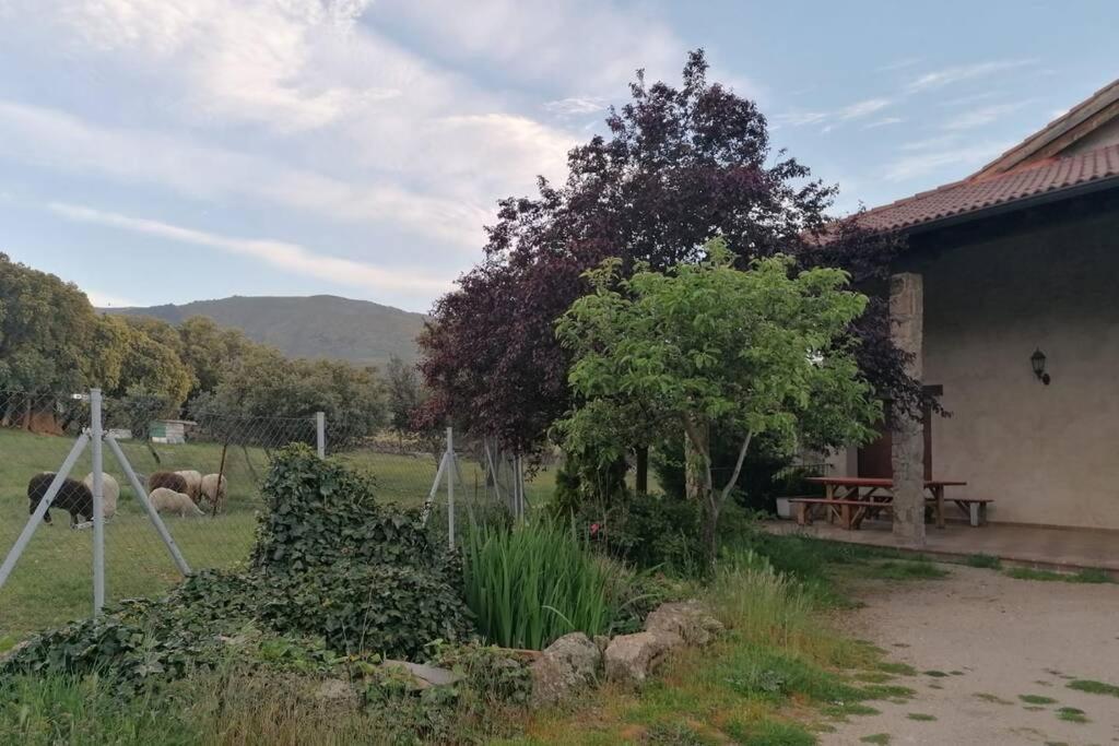 Casa Namaste - Ortigosa Del Monte Villa Exterior photo